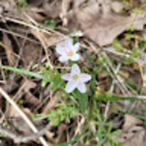 Meet your Posher, Karley